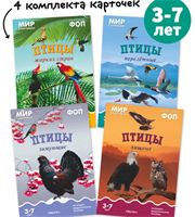Наглядно-дидактические пособия от рождения до школы для детей 3-7 лет, Мир в картинках, Набор из 4 пособий, Тема 