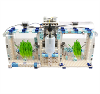 АКАДЕМИЯ НАУРАШИ 