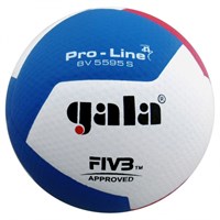 Мяч волейбольный GALA Pro-Line 12, FIVB, профессиональный, размер 5 38191