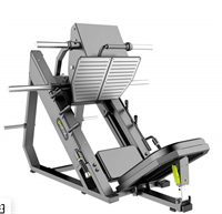 Жим ногами (Leg Press) 01 0282718