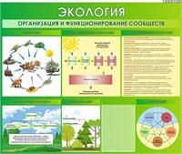 Стенд Экология. Организация и функционирование сообществ 1200 х 1000 мм пластик 3 мм 1 карман А4 Э03