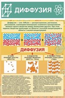 Стенд Диффузия пластик пвх 3 мм размер 600 х 900 2718