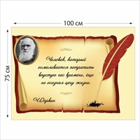 Стенд Дарвин размер 1000 х 750 пластик 3 мм 05203