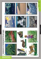 Летние и зимние изменения в природе. 02830452