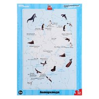 Развивающий пазл «Антарктида» 0280953