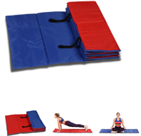 Коврик гимнастический INDIGO, полиэстер, стенофон, cине-красный 0281291