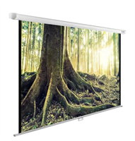 Экран Cactus WallExpert CS-PSWE-220x220-WT, 220х220 см, 1:1, настенно-потолочный 6ZjgR5jvhD2NB3qE4cCwA0