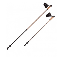 Палки для скандинавской ходьбы NWS-103А раздвижные EOSkRI9ch-ZzK02quMPMO0