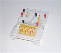 Набор для демонстрации спектров магнитного поля тока (на разных панелях) 028309298