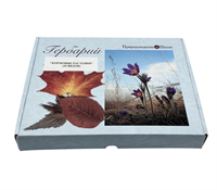 Гербарий Кормовые растения (20 видов) d2RjXC1ahAvrPS-LmcfAc0