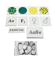 Модель-аппликация Дигибридное скрещевание и его цитологические основы 0283096599723