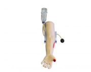 Фантом руки для обучения оказанию первой помощи gCA4KJl1jjac22TOAnT4E3