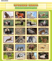 Стенд Красная книга млекопитающие пластик 3 мм размер  800 х 900 мм 05756