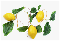 Ветка муляжей 