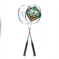 Набор для бадминтона DOUBLE FISH JINQUE TL-11, 2 ракетки в чехле 58337