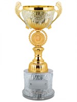 Кубок оригинальный 025883