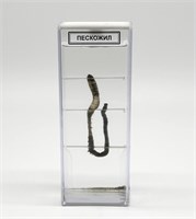 Влажный препарат Пескожил 0283096599684