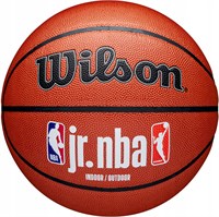 Мяч баскетбольный Wilson JR. NBA Fam Logo Indoor Outdoor 31659