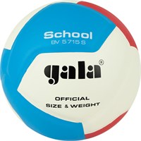 Мяч волейбольный GALA School 12, размер 5 31700