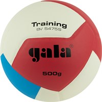 Мяч волейбольный GALA Training Heavy 12, утяжеленный, размер 5 31702