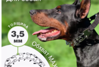 Строгий ошейник для дрессировки собак lR560RgZhKtua177QI6-L0