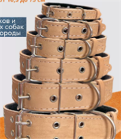 Ошейник для собак мелких пород kTlyVU5Ohzu6QJNJen-H-0