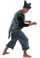 Карнавальный костюм взрослый 