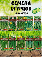 Набор семян огурцов 10 сортов BBnlGZ18g57SqCKQjh-Xw3
