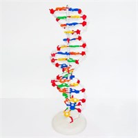 Модель «Структура ДНК» (разборная) hKMKA9NwjPiIPxKUNKTn83