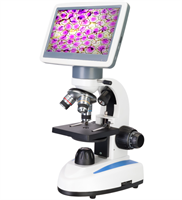 Микроскоп цифровой Levenhuk D85L LCD 0baoppRti4e8gZThLE61q1