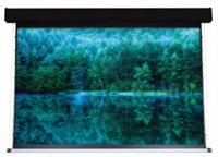 Моторизированный экран ViewScreen Antis Pro 699x524 см. 028309096