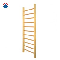 Стенка гимнастическая ЭКО ПБ 2,4-1 ОС-01973