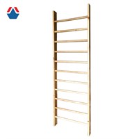 Стенка гимнастическая ПБ-24-1 ОС-13393