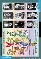 БИОЛОГИЯ Введение в Экологию 02830607