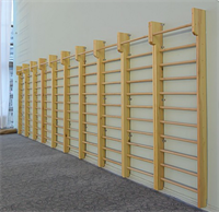 Стенка гимнастическая с выносом ЭКО 2400х800 ОС-15281