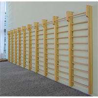 Стенка гимнастическая с выносом 2800х800 ОС-13575