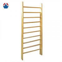 Стенка гимнастическая ПБШ-3,2х0,8м ОС-12466