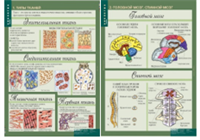 Учебный альбом «8-9 кл. Человек» (2) 02830689