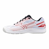 Кроссовки волейбольные MIZUNO Cyclone Speed 4, мужские 58707