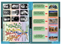 Учебный альбом «Введение в экологию» 01856