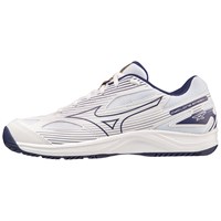 Кроссовки волейбольные MIZUNO Cyclone Speed 4, мужские 58723