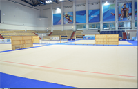 Соревновательный ковер для художественной гимнастики, размер 8х10м. толщина10мм. НФ-134095