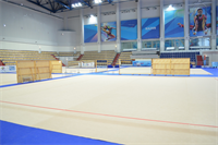 Соревновательный ковер для художественной гимнастики, размер 14х14м. толщина 10мм. ОС-13862