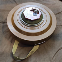 Учебная противотанковая мина ТМ-62М с учебным взрывателем МВЧ-62 028309177