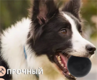 Игрушка для собаки мяч цельнорезиновый жесткий XIHQP5Z3gj6Zaaq9U57fB2