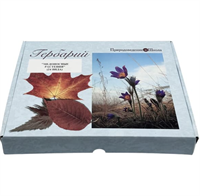 Гербарий Медоносные растения (24 вида) uT5tjjCPhIKcw11dHPFCv0