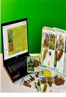 Электронное наглядное пособие «Водоросли. Мхи. Цветковые» 0283095089