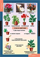 ОКРУЖАЮЩИЙ МИР 1 КЛ. 02830453