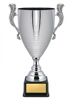 Кубок престижный 025900