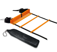 Лестница координационная 10 метров 0281308